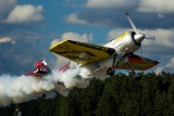 Sukhoi Su-31